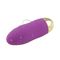 Medical Silicone Bluetooth Vibrating Egg Vibrator Waterproof For Women