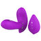Adult Wearable G Spot Vibrators Heating Butterfly Vibrator With Remote Control