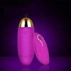 Male Vibrating Bullet Egg Vibrator Men Anal Egg USB Rechargeable 10 Speeds