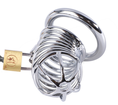 Metal Chastity Penis Cock Cage Men Bondage Penis Lock Chastity Time Delay Cages Device For Male