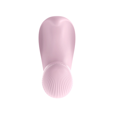 Remote Control Female Masturbator Vibrator Toys Panties Vibrator For Ladies