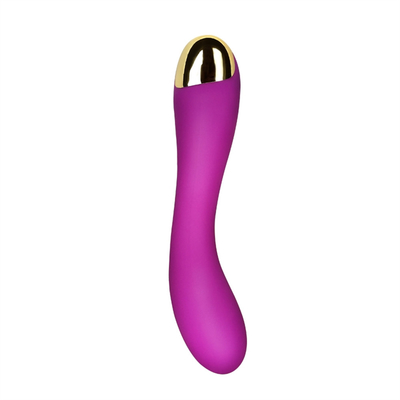 10 Speeds Dildo Vibrator USB Rechargeable G Spot Clitoris Vibrator Massage For Women