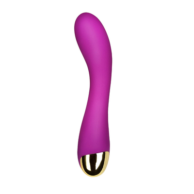 10 Speeds Dildo Vibrator USB Rechargeable G Spot Clitoris Vibrator Massage For Women