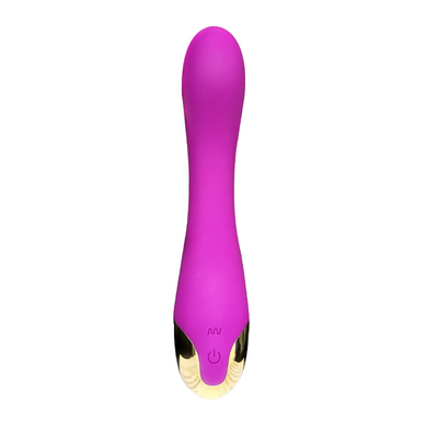 10 Speeds Dildo Vibrator USB Rechargeable G Spot Clitoris Vibrator Massage For Women