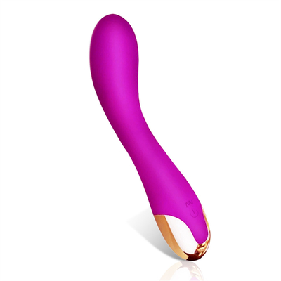 10 Speeds Dildo Vibrator USB Rechargeable G Spot Clitoris Vibrator Massage For Women