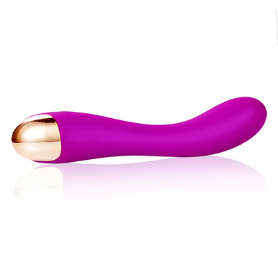 10 Speeds Dildo Vibrator USB Rechargeable G Spot Clitoris Vibrator Massage For Women