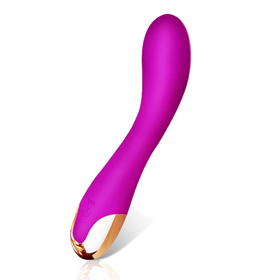 10 Speeds Dildo Vibrator USB Rechargeable G Spot Clitoris Vibrator Massage For Women