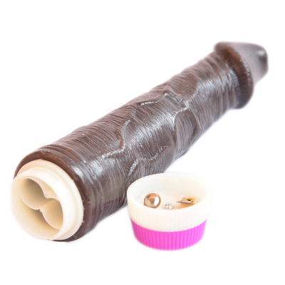Best Selling Vibrating Plastic Penis Sex Toys for Women