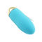 100% Silicone Bullet Egg Vibrator Waterproof Bluetooth Vibrating Egg Vibrator