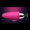 ODM OEM Wireless Remote Bullet Vibrating Love Anal Egg For Men / Women