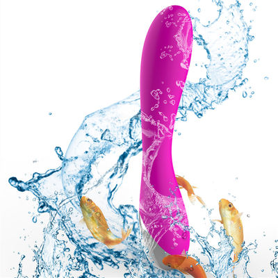 10 Speeds Medical Silicone Rechargeable Sex Toys Women Vibrator