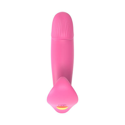 Medical Silicone Dildo Design Pussy Vibrator Female Pleasure Sex Toys for Women